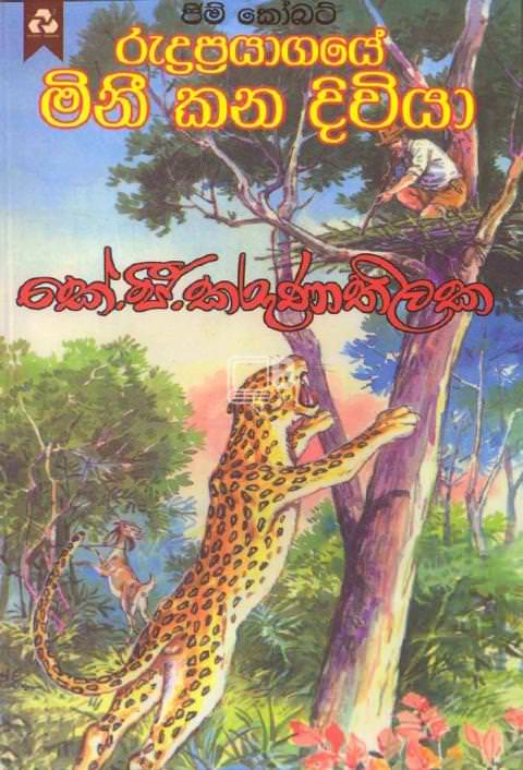 rudraprayagaye mini kana diviya